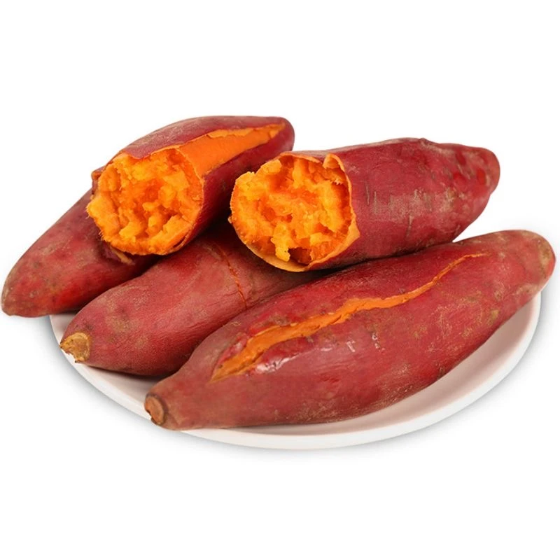 【新店促销】新鲜现挖西瓜红蜜薯软糯香甜红心番薯沙地蜜薯农家自种