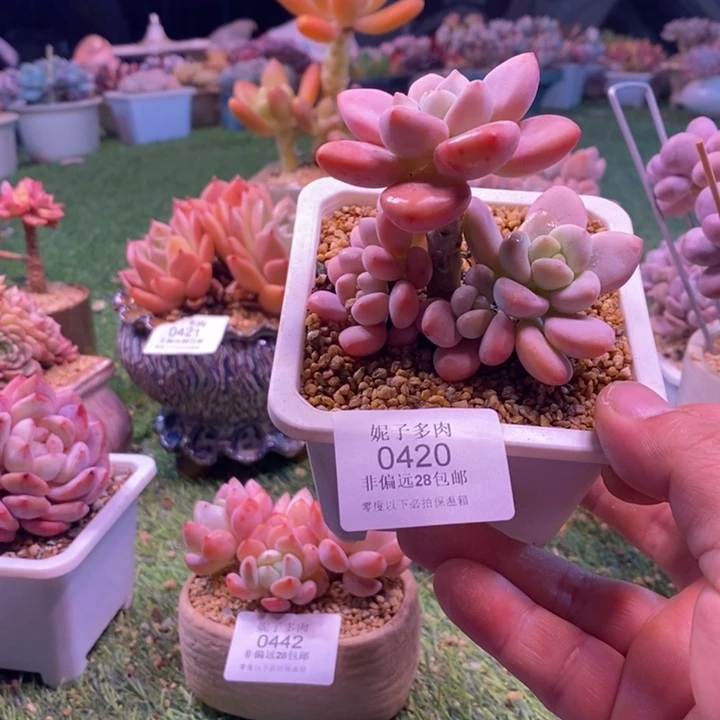 0420啊啊啊啊啊啊啊啊啊