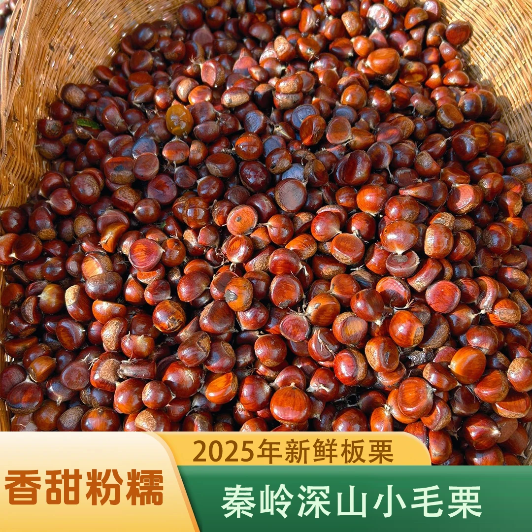 陕西秦岭深山小毛栗高山板栗清脆鲜香甜糯好剥美味零食