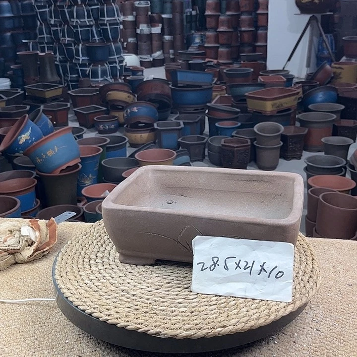 紫砂花盆紫砂花钱紫砂