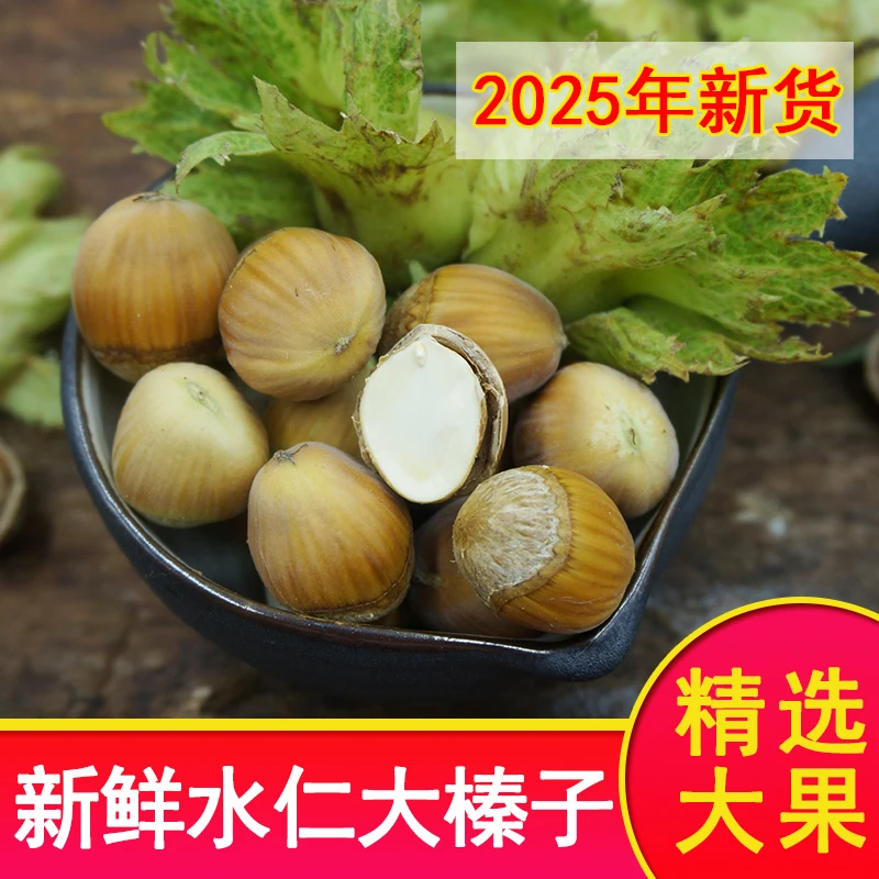 新鲜大榛子新货水瓤生榛子原味东北带皮水仁榛子坚果零食500g包邮