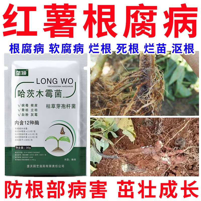 红薯根腐病专用肥料甘薯地瓜死苗烂根病毒病红薯卷叶病多菌灵肥料