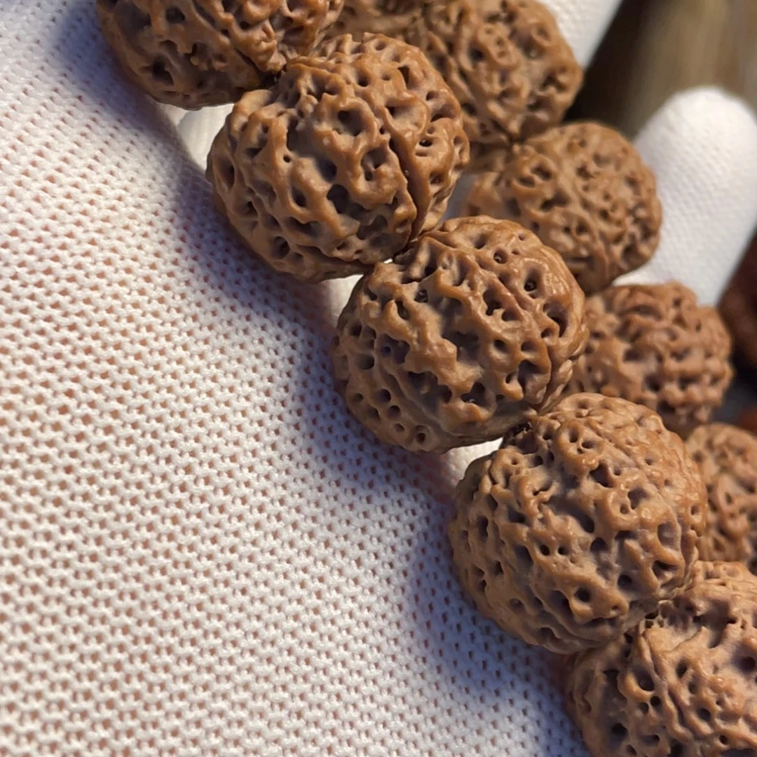 手串金刚菩提五星蜂窝双龙