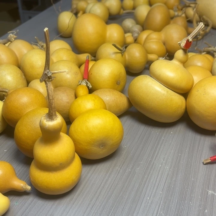 用***6健健康康快快乐乐