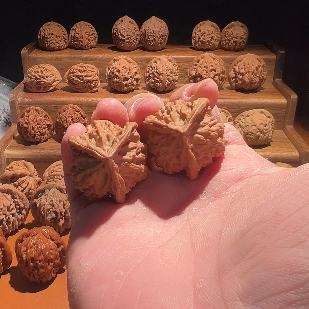 核桃盘山三棱全品无修
