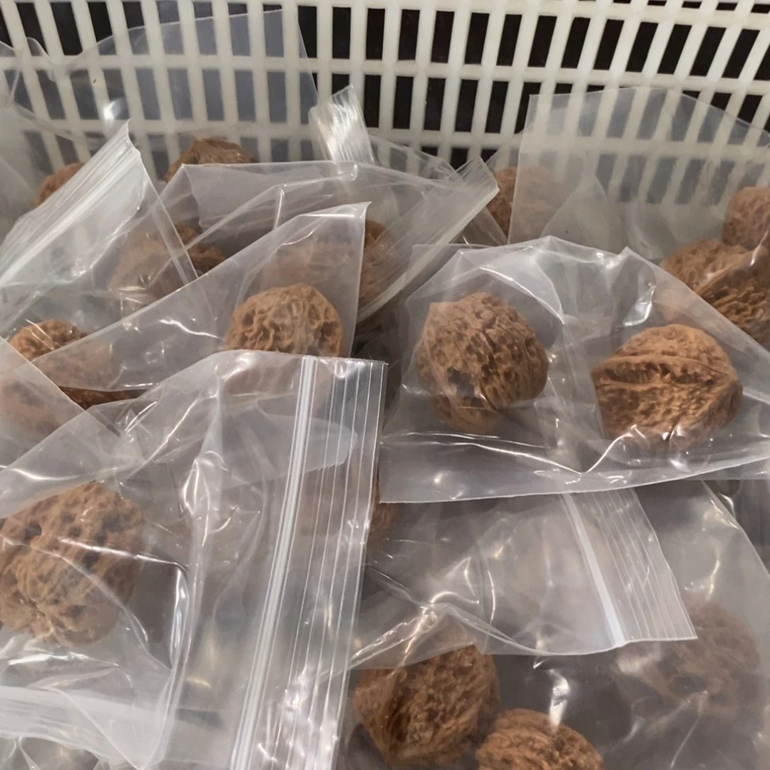 文玩核桃吊坠蚂蚁纹