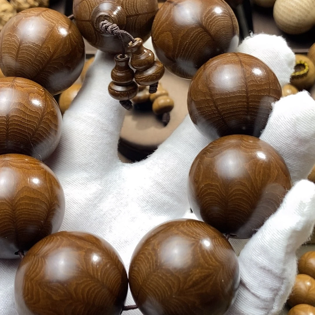 边***唱六道木山西五台山