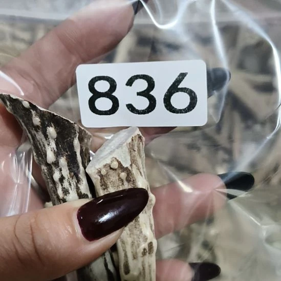 宁****鹿角鹿角鹿角鹿角鹿角鹿角