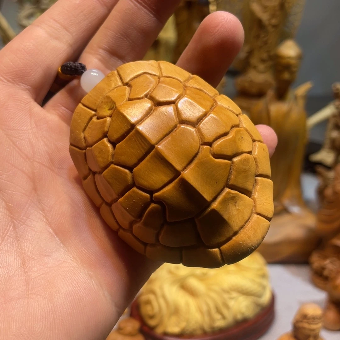 黄杨木小叶龟壳小微瑕