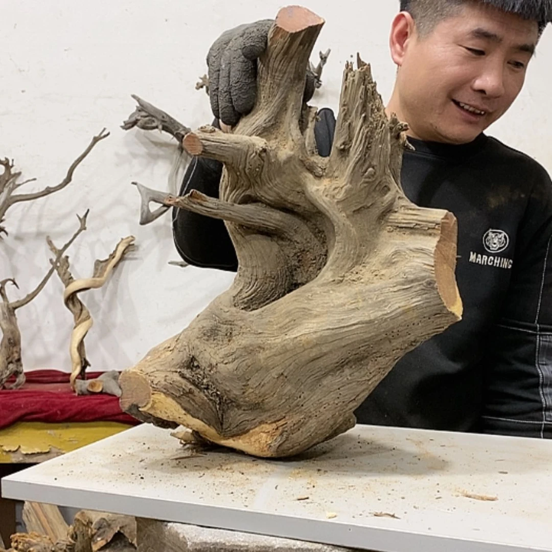 【闪购商品】柏木好**钱我们都是好孩子