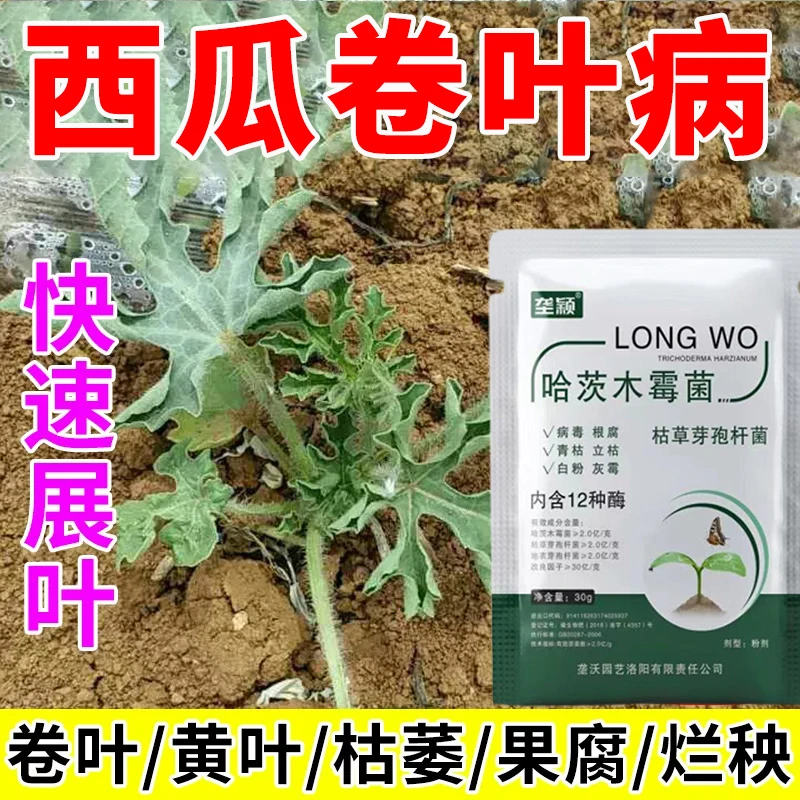 西瓜卷叶病专用肥料西瓜卷叶黄叶掉叶叶面皱缩烂根枯萎裂果水溶肥