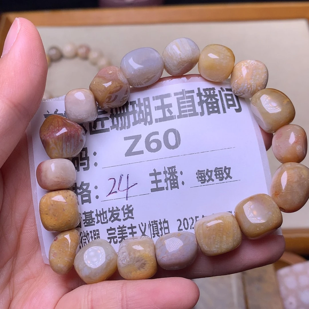 【闪购商品】硅化珊瑚（珊瑚玉）颈饰未镶嵌宝*儿Z60