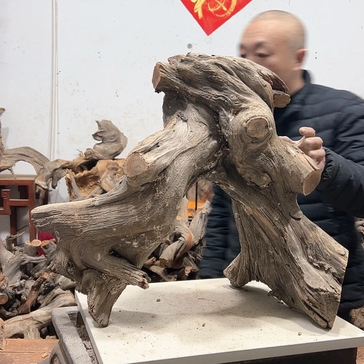 柏木?****?我们的生活也是如此