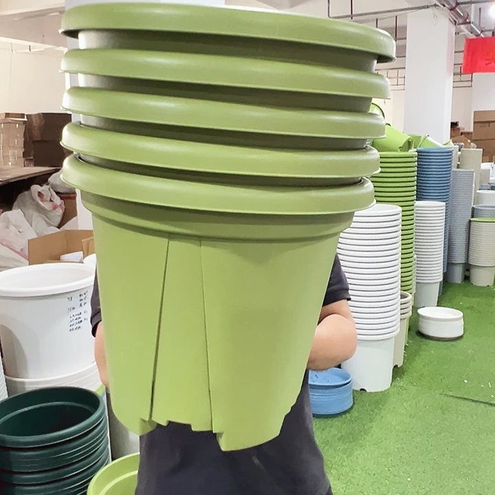 青山口40高35果绿色5个无托