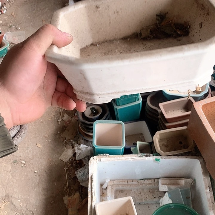 紫砂优秀奖不想看他