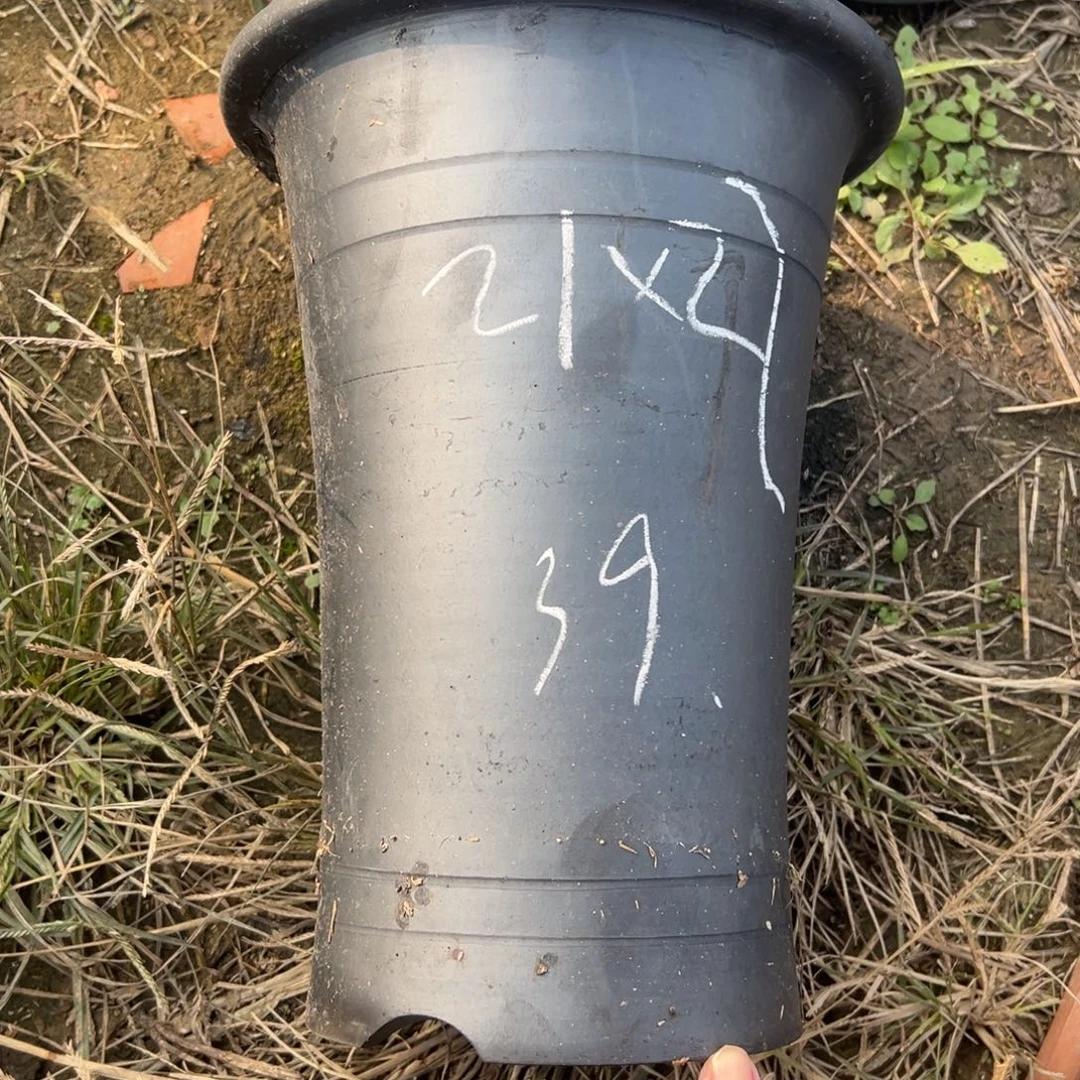 特价直筒口径21高度27