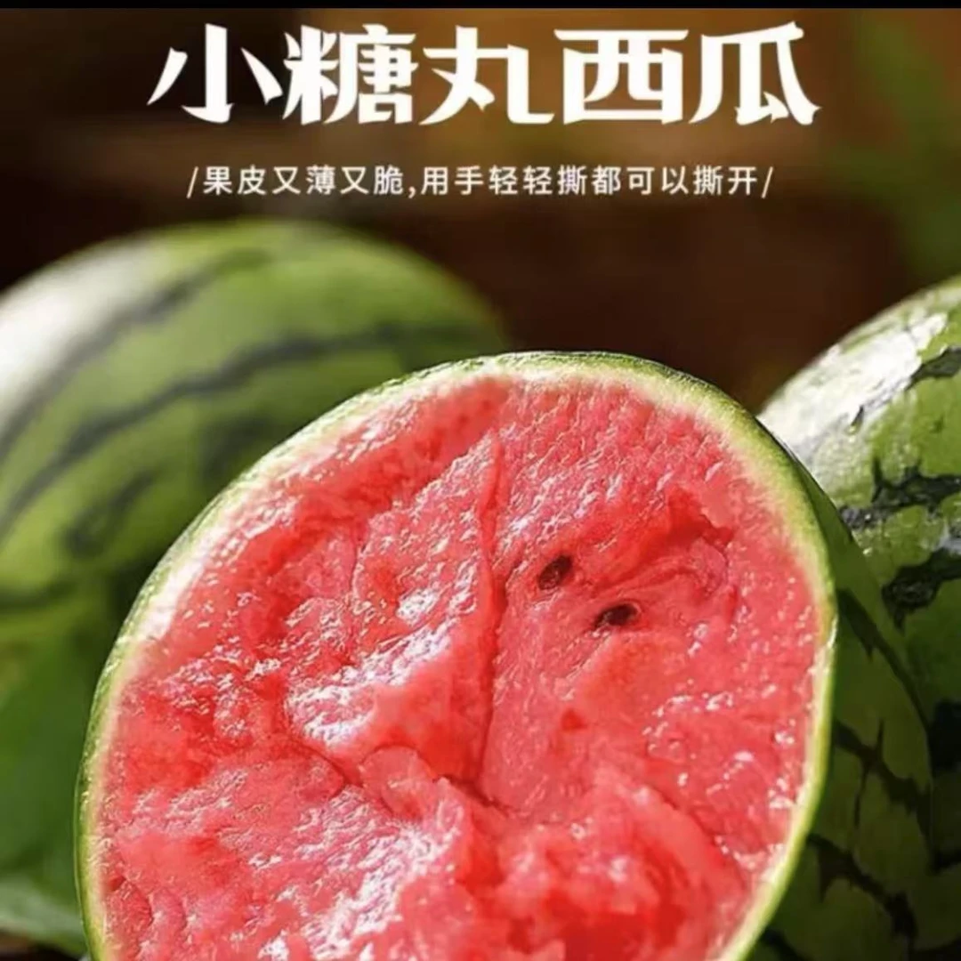 【次日达】爆甜小糖丸西瓜2枚6.6-7.2斤 爆汁纯甜 甜到心里新鲜山东省