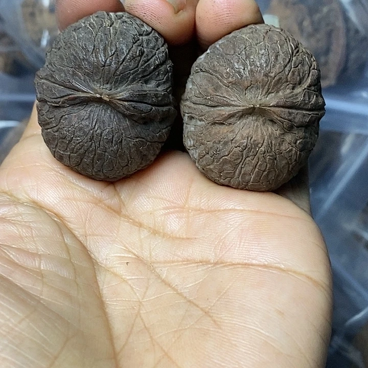 文玩核桃把件云南铁核桃57