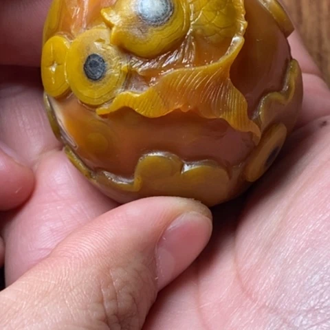周****菩提根/象牙果把件