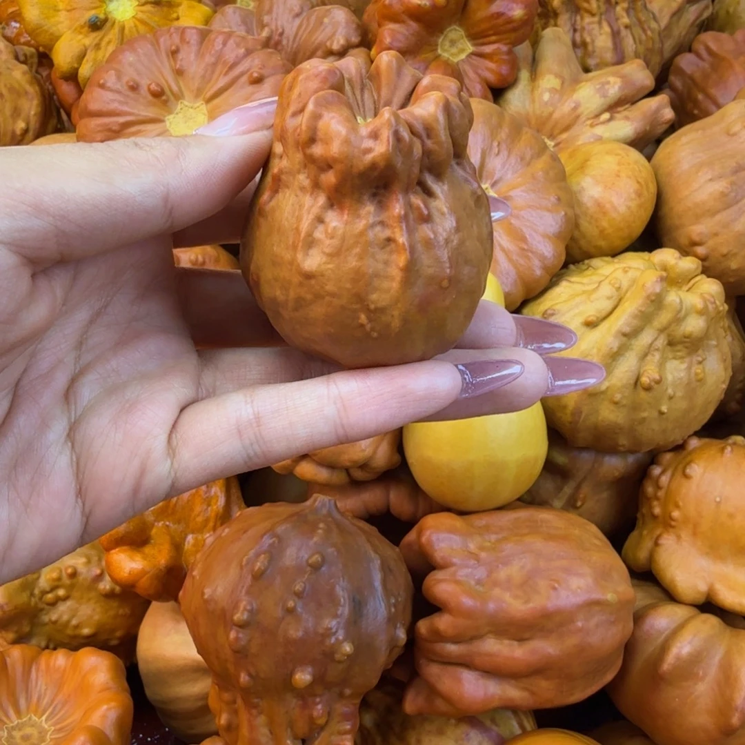 别***忙饿哦饿哦饿哦饿哦饿哦饿哦
