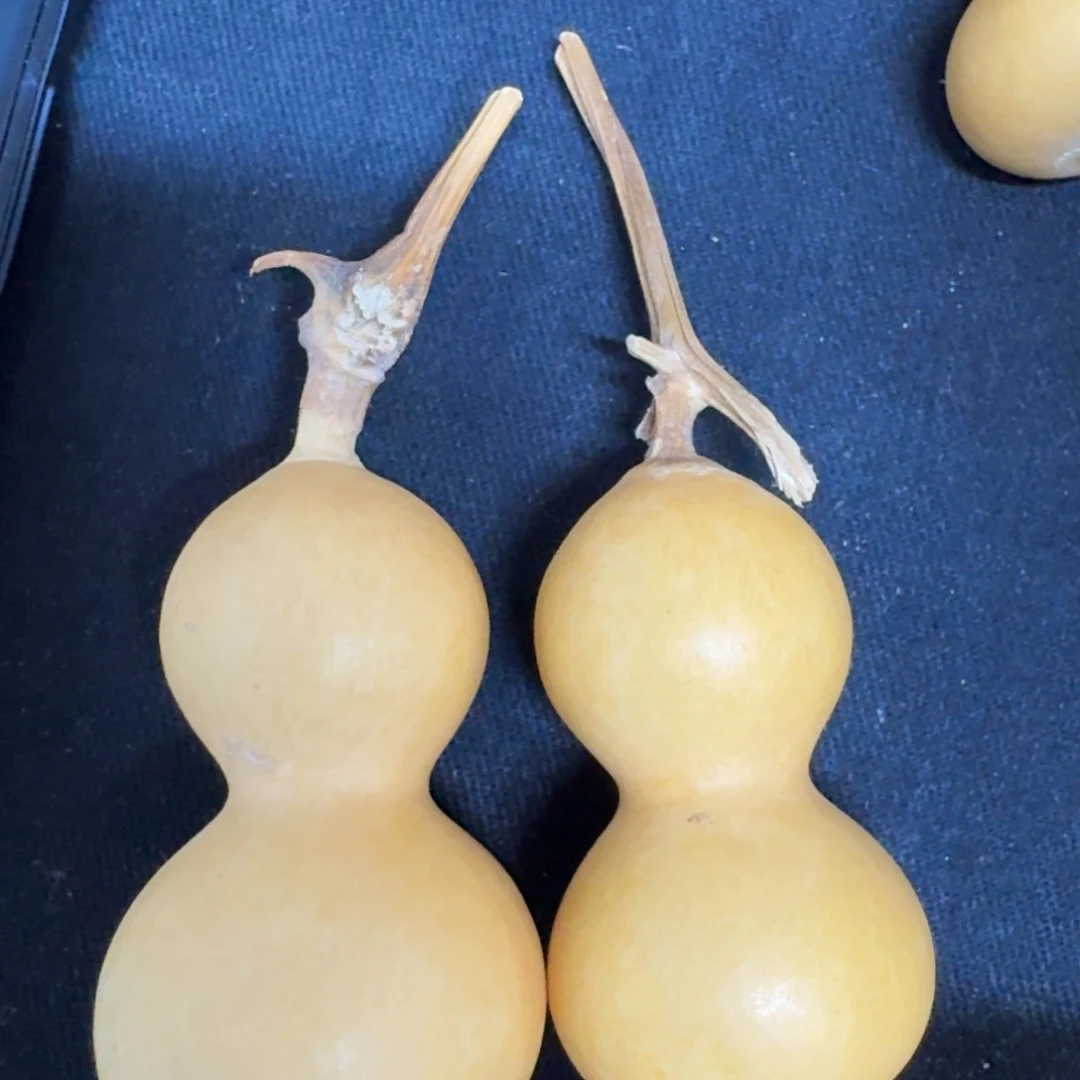 高**?精品骨头葫芦系列