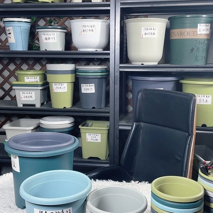 瑕疵四季盆5号浅蓝色发6个