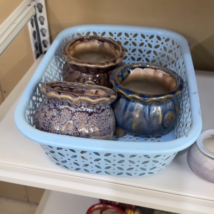 花盆花盆花盆花盆