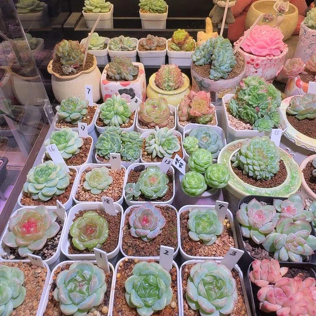 •***周周周专拍哈哈哈哈