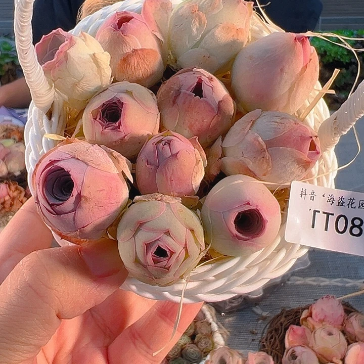 TT082。 玫瑰混。 花篮。  福利