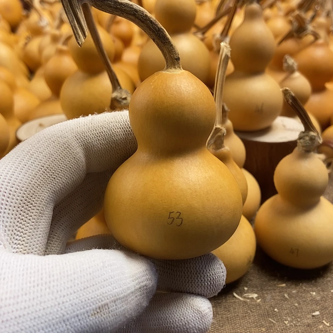 文玩葫芦 完美主义者 慎拍53