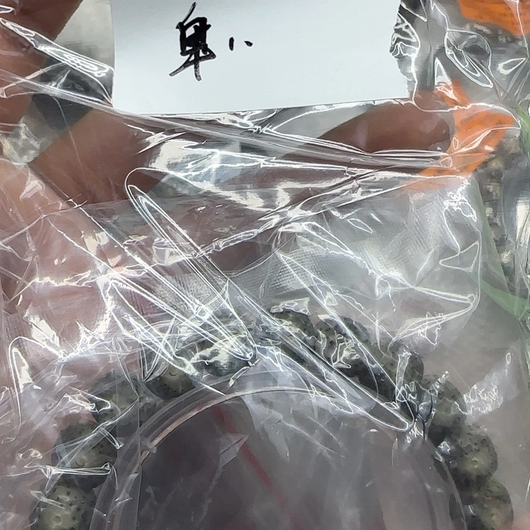 卑***惨星月菩提手串24殿堂手工龙鳞10单圈