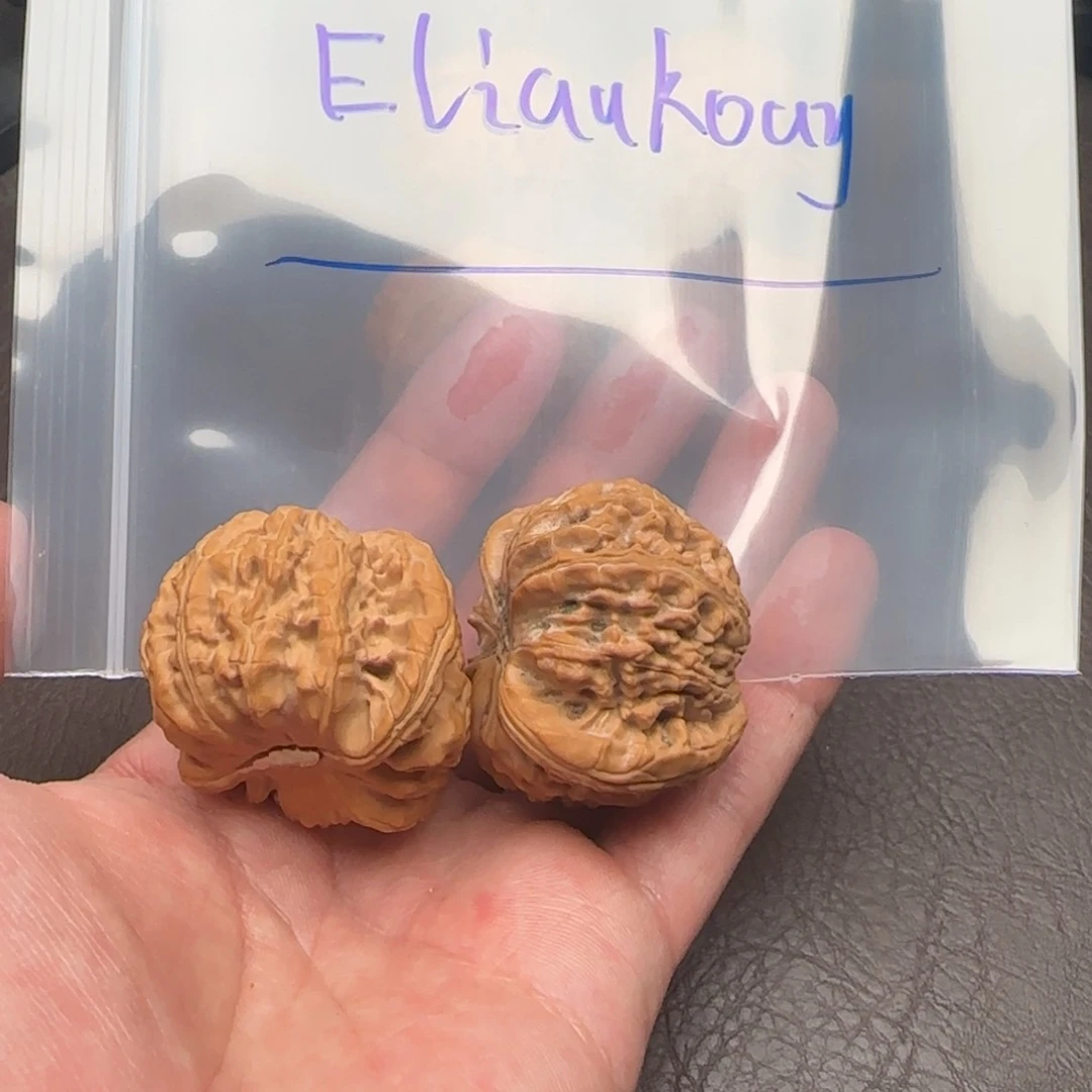 E****y白狮子5855566965556655