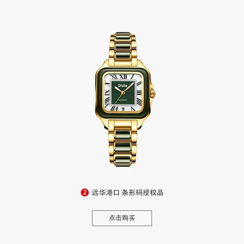 【中南远华专属】艾帝雅极远之地镶嵌和田玉全自动机械女表