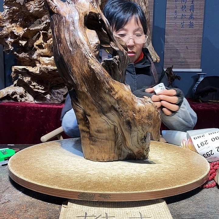 豹***9287。株木随行根艺