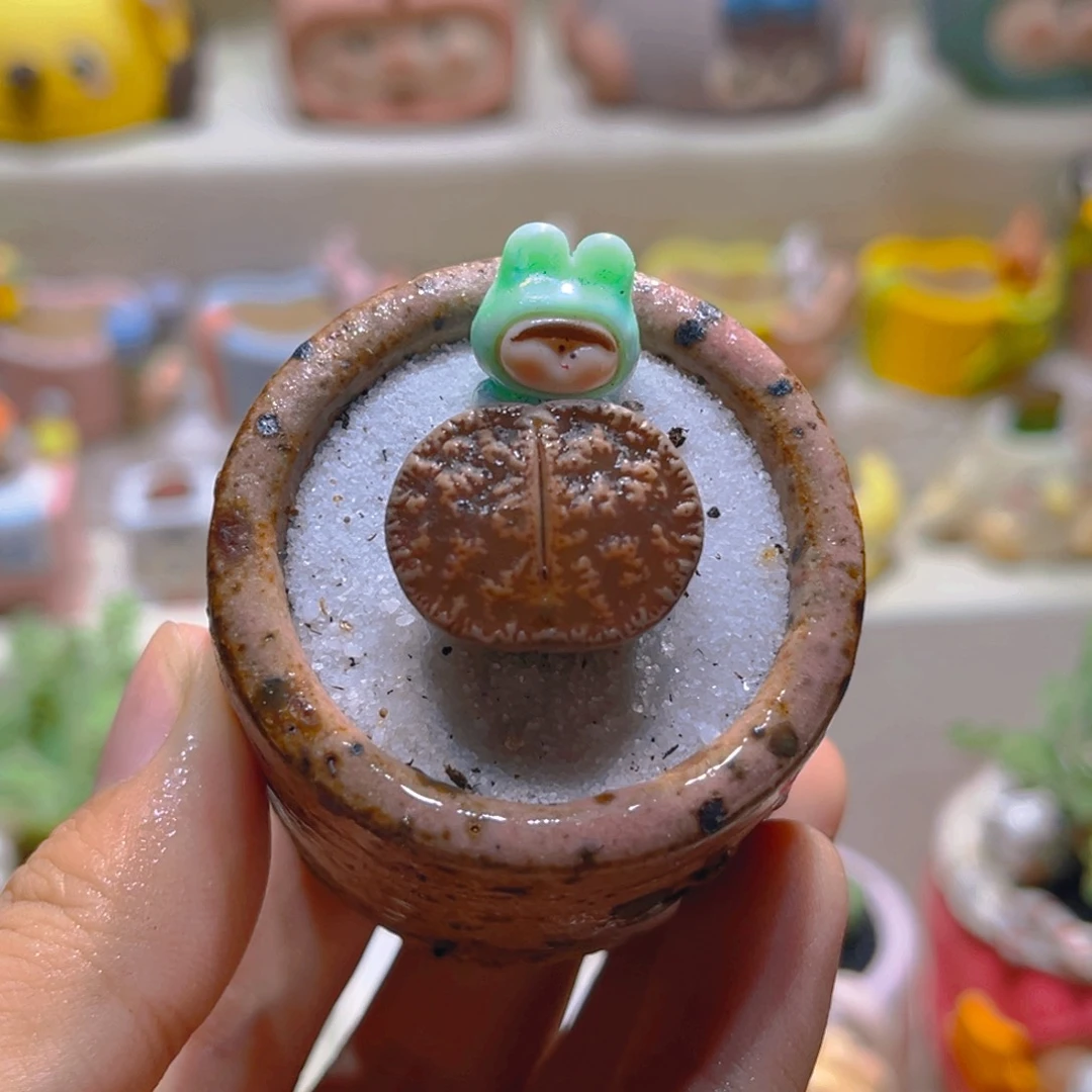 142黑变天带盆带土手工盆