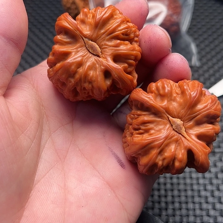 文玩核桃把件白狮子