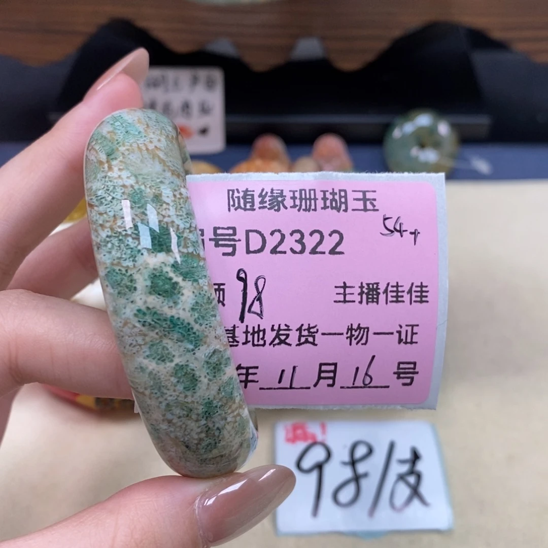 未镶嵌D2322硅化珊瑚（珊瑚玉）三*