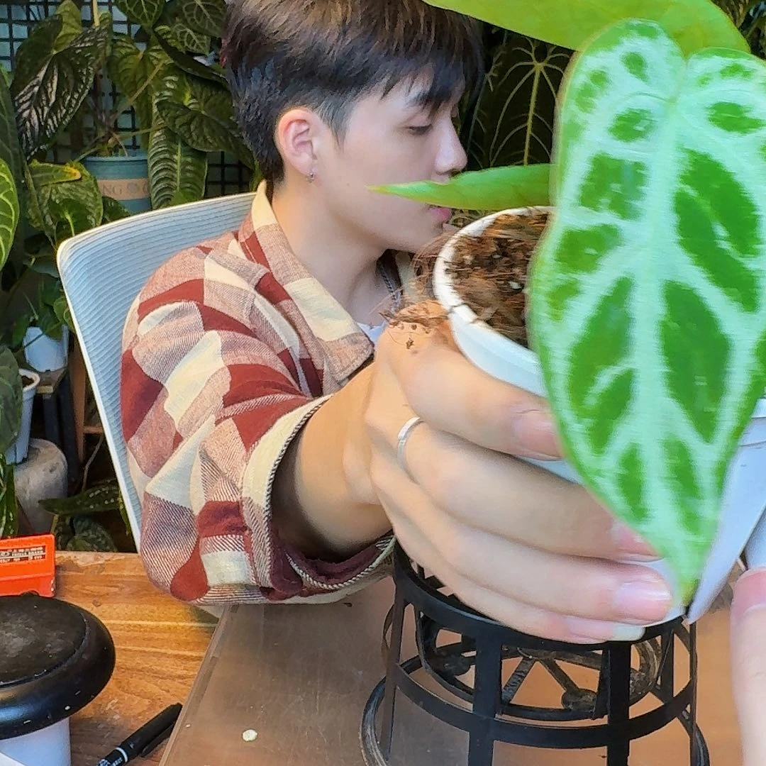 完全开放L158skg银杂银色闪光