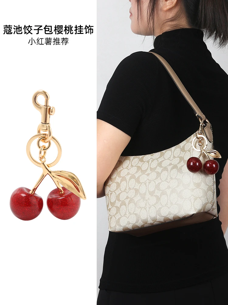 臻饰肩带适用coach蔻驰饺子包链条樱桃配件腋下包四叶草装饰链