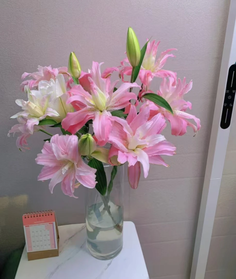 【基地直发】茉莉  重瓣香水百合