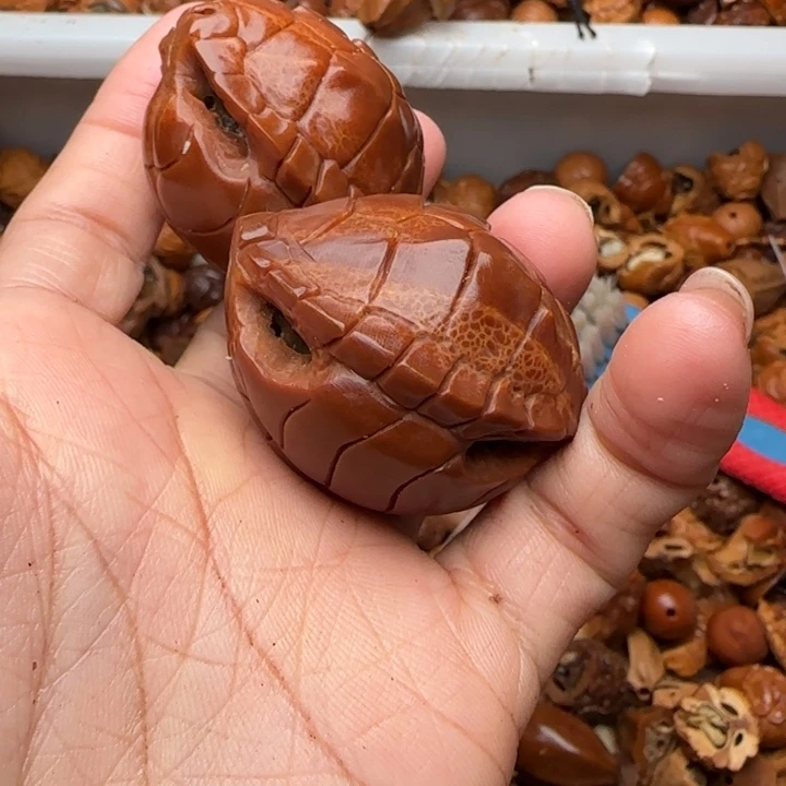 橄榄核吊坠橄榄菜等经济