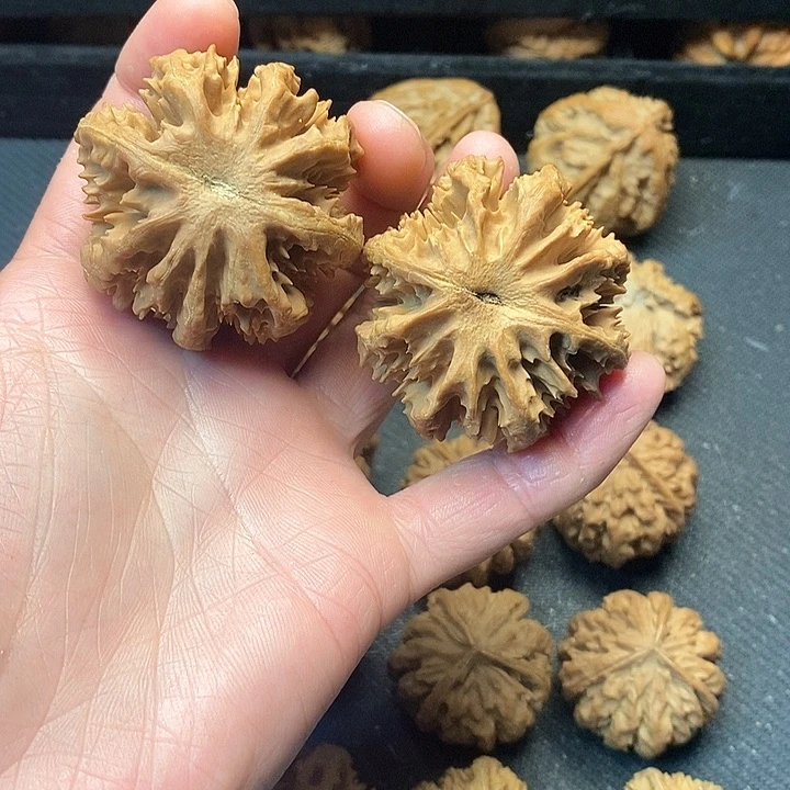 郧****坤我是一只小小鸟地域鬼的