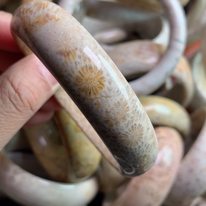 硅化珊瑚（珊瑚玉）颈饰未镶嵌m**g