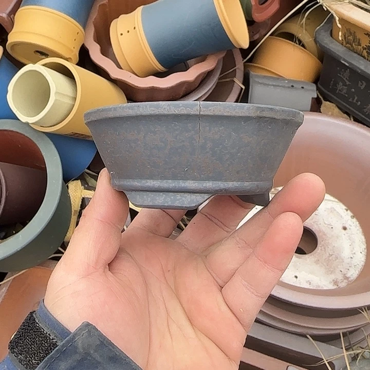 一次就会给出不同程度或差异问题或差异