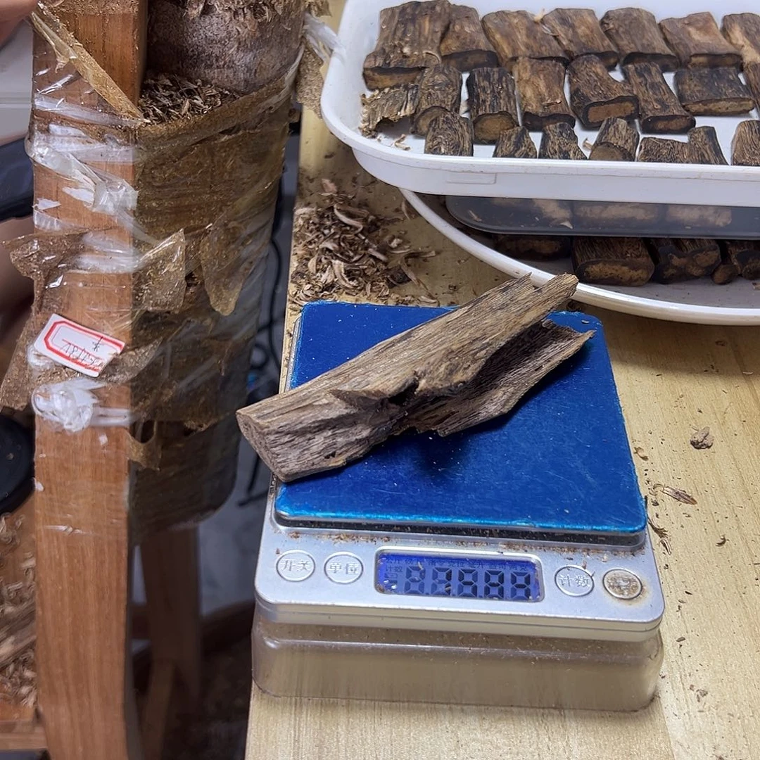 香料绿奇楠虫漏15克乌身