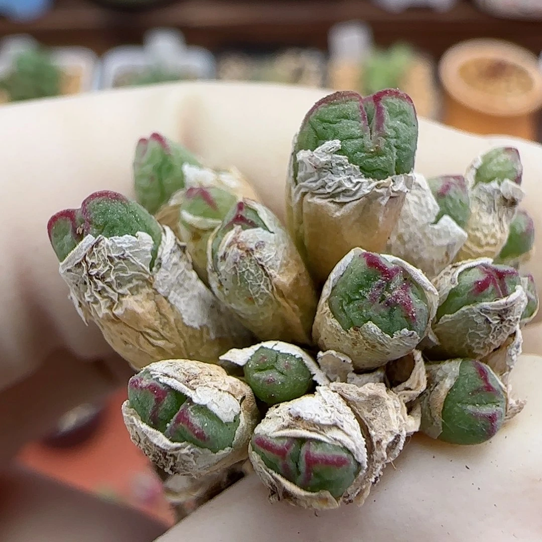 194福利福利福利