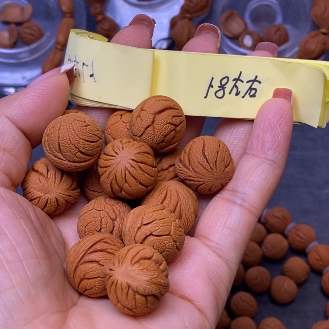 秦岭龙纹桃核14颗