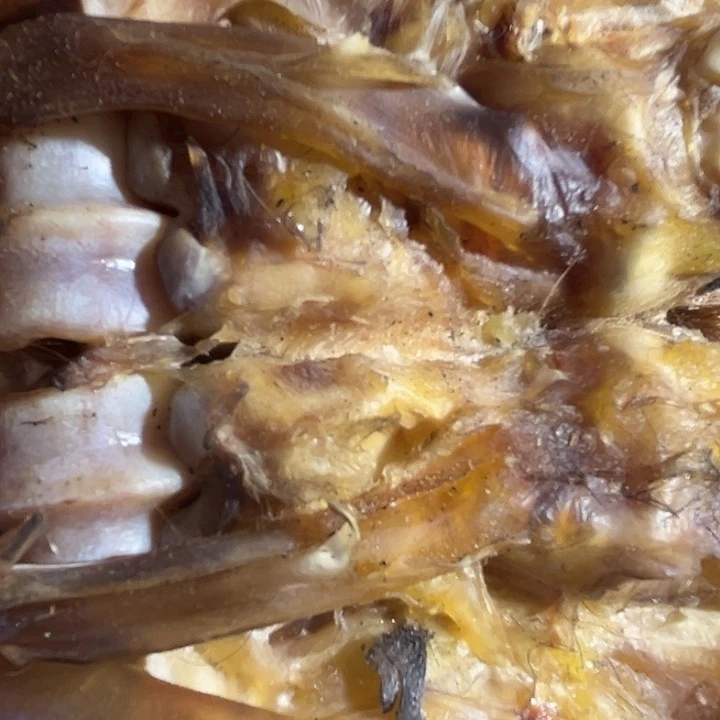 智***赵ZXhu整个带筋一半大整个带筋一半大