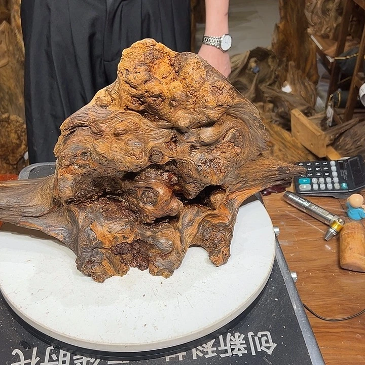 松木（琥珀木）是**啊