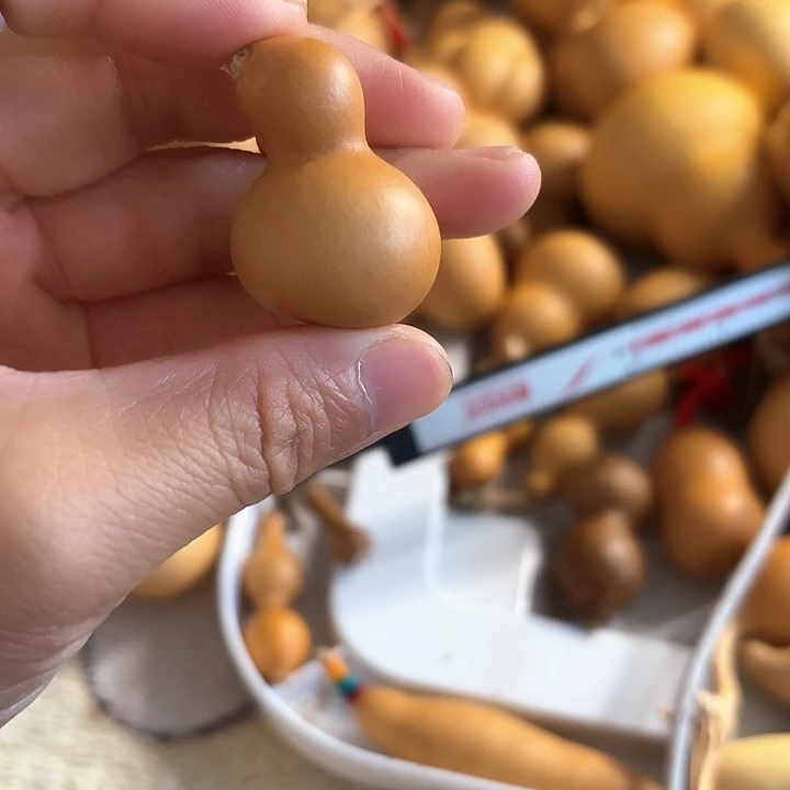 文玩小猪手把件各种异型葫芦